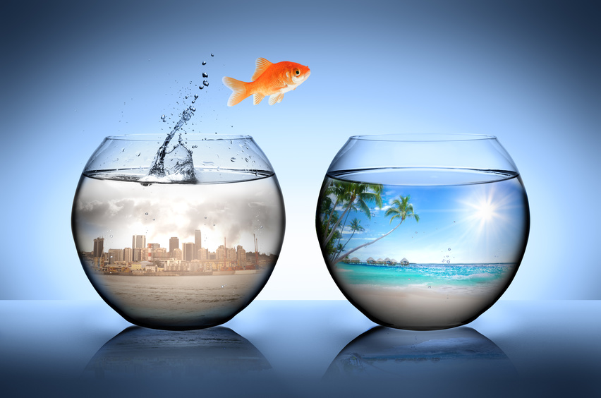 goldfish jumping away from city for go to tropical beach